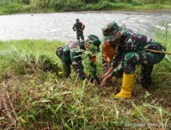 Tanam Ratusan Pohon Upaya Kodim 1002/HST Antisipasi Tanah Longsor Dan Banjir