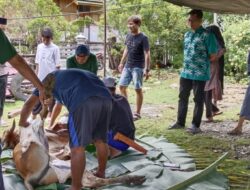 Lebih Dekat! Ketua DPRD Bangkep Sholat Idul Adha dan Bagikan Qurban Buat Masyarakat di Desa Liang