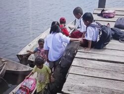 ‘Miris’ Siswa SD Berangkat ke Sekolah Terpaksa Naik Perahu Karena Jembatan Rusak, Masyarakat Dusun Mele Desa Binuntuli Berharap dapat Perhatian Pemda Bangkep