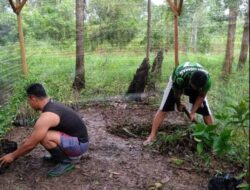 Dukung Program Kasad “Bersatu Dengan Alam” Jajaran Kodim 1011/Klk Tanam Pohon