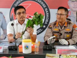 Tanggapan Polda Kalsel terhadap Kasus Mabuk Kecubung di Kalimantan Selatan