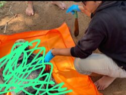 Diduga Cuaca Buruk, Seorang Mayat Ditemukan Dekat Pesisir Pantai Gusonglantai  