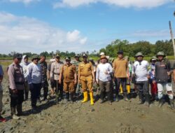 Polsek Lamala dan Unismuh Luwuk Tanam Ribuan Bibit Mangrove di Masama