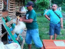 Program ATFM Satu Juta Satu Pekarangan Menekan Angka Stunting Dan Tingkatkan Ekonomi Masyarakat