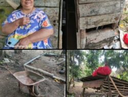 Desa Simpangkatis Rawan Kemalingan, Masyarakat Menjadi Resah