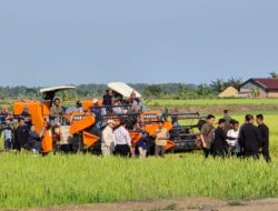 Tinjau Program Swasembada Pangan Nasional di Merauke, Panglima TNI Dampingi Presiden RI