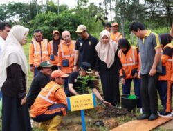 DPD A-PPI Nagan Raya Apresiasi Aksi Pemerintah Tanam Pohon Sebanyak 18.064 Pohon Serbaguna.