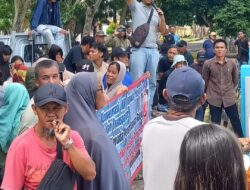 Ratusan Massa Bersama Forksos, Demontrasi di Kantor Wasprot IV Timah Basel