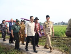 Tinjau Panen Raya di Kabupaten Bangkalan, Wamendagri Bima Arya Optimistis Swasembada Pangan Dapat Terwujud