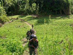 Tim Alfa 1 Patroli Hutan Dan Pegunungan Poso Untuk Persempit Ruang Gerak Kelompok Radikal