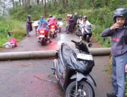 Aliran Listrik Mendadak Padam, Disebab Angin Kencang