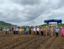 Penanaman Jagung Serentak Sejuta Hektar, Dilahan HGU PT Sawindo Kencana