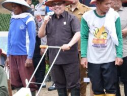 Launching Penanaman Jagung Serentak, Ketua DPRD Sumbar Komitmen Pembangunan Ketahanan Pangan