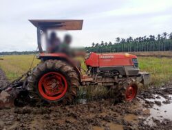 Jatuh dan Terlindas Traktor Sawah, Petani di Pantai Labu Tewas