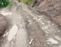 Resah!!!  Warga Pringamba Hadapi Jalan Rusak Setiap Hari