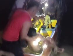 Rusaknya Ekosistem Alam Liar, Kakek 62 Tahun Tewas Diterkam Buaya di Sungai Gino