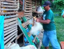 Ibu Anthy : SJSP Tidak Gagal Program Inovatif Bupati Banggai Sangat Membantu Meningkatkan Ekonomi Keluarga