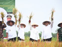 Dukung Indonesia Sebagai Lumbung Pangan Dunia, Bupati Berharap Deli Serdang Jadi Daerah Lumbung Pangan