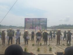 Dandim 0419/Tanjung Jabung Barat Menghadiri Penanaman Padi Serentak