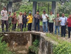 Bupati Banggai Kepulauan Bersama Direktur Bank Mandiri Tinjau Lokasi Persawahan serta Bendungan di Desa Tatakalay