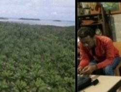Kebun Sawit atau Hutan Lindung? Ationg Bongkar Fakta Mengejutkan di Belitung