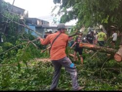 Bersama Warga, Ketua PBB Asahan Bersihkan Pohon Tumbang Yang Tutupi Jalan