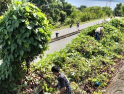 KNPI Bangkep dan Karang Taruna Kelurahan Salakan Gelar Kerja Bhakti dalam Program Jumat Bersih di Gedung Graha Pemuda