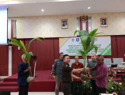 Kejari Belitung dan KPHL Belantu Mendanau Optimalkan PNBP Kehutanan, Beri Bantuan Bibit Kelapa Hibrida