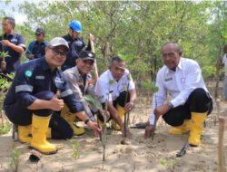 PT Timah Tanam 2500 Bibit Mangrove di Karimun, Wujud Komitmen Pelestarian Lingkungan