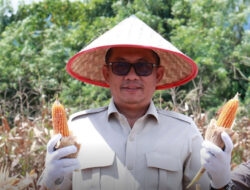 Menuju Sumbar Mandiri Pangan, DPRD Apresiasi Peran Petani