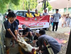 Polsek Pademangan Gelar Pemotongan Hewan Qurban, Perkuat Rasa Kebersamaan di Hari Raya Idul Adha 1446 H