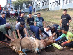 PMPP TNI Gelar Sholat Idul Adha 1446 Hijriah Dilanjutkan Penyembelihan Hewan Kurban