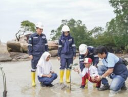 Komitmen Hijau: Program Pengelolaan Lingkungan PT Timah untuk Masa Depan Bumi