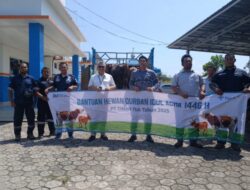 Idul Adha Penuh Makna, PT Timah Bagikan Hewan Kurban untuk Masyarakat Babar