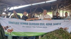 Pererat Silaturahmi, PT Timah Tebar Ratusan Hewan Kurban di Empat Provinsi