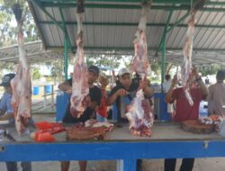 Semangat Berbagi Karyawan PT Timah di Momen Idul Adha, Warga Kesatuan Islam Tionghoa hingga Petugas Kebersihan Terima Daging Kurban