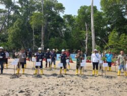 Langkah Nyata PT Timah Dalam Peringatan Hari Lingkungan Hidup Sedunia, Tanam Ribuan Pohon Mangrove di Pesisir Pantai Tanjung Labun Cegah Abrasi 