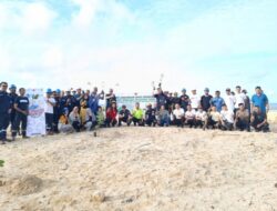 Hijaukan Kawasan Bekas Tambang, PT Timah Tanam Ratusan Pohon di Babar