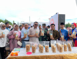 Angkat Potensi Budaya dan UMKM Pasaman Barat, Lewat Festival Rang Mudo Tali Tigo Sapilin