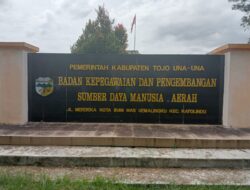 Polemik Kelulusan PPPK Tojo Una-Una, BKPSDM Tegaskan Seleksi Berbasis Dokumen Yang Diunggah Peserta