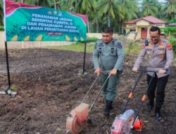 Kapolres Banggai Tanam Jagung Serentak Kuartal III, Bersama Stakeholder Terkait