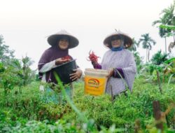 Ciptakan Ekonomi Inklusif dan Berkelanjutan, PT Timah Laksanakan Program PPM Berbasis Lokal