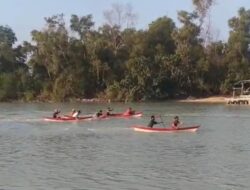 Hari Mangrove Sedunia, PT Timah Bersama HNSI Tanam Mangrove dan Lomba Dayung