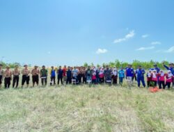 Bentuk Komitmen Pelestarian Ekosistem, PT Timah dan HNSI Bangka Tanam 4000 Mangrove di Kawasan Nelayan II