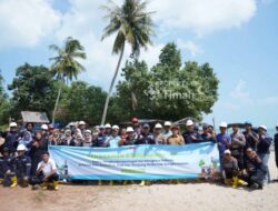 Hari Mangrove Sedunia, PT Timah Bersama Karang Taruna Tanam 5.000 Mangrove di Pantai Batu Bedaun Basel
