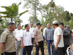 Soal Bidan Dona, Pemerintah Gerak Cepat Respon Perintah Presiden