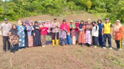 Polsek Liang laksanakan Penanaman Jagung Kuartal IV Dalam Rangka Ketahanan Pangan Nasional di Desa Apal  Bangkep