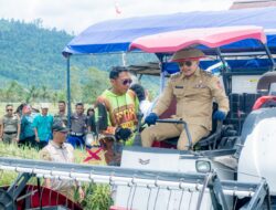 Bupati Amirudin Hadiri Panen Raya Padi di Kembang Mertha Kecamatan Masama