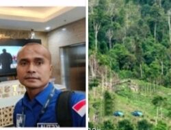 LBH Milenial Peduli Lapor ke Satgas PKH, Tindak Oknum Taipan Penguasa Hutan Lindung