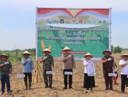 Polresta Deli Serdang Dukung Program Ketahanan Pangan dengan Penanaman Jagung Serentak